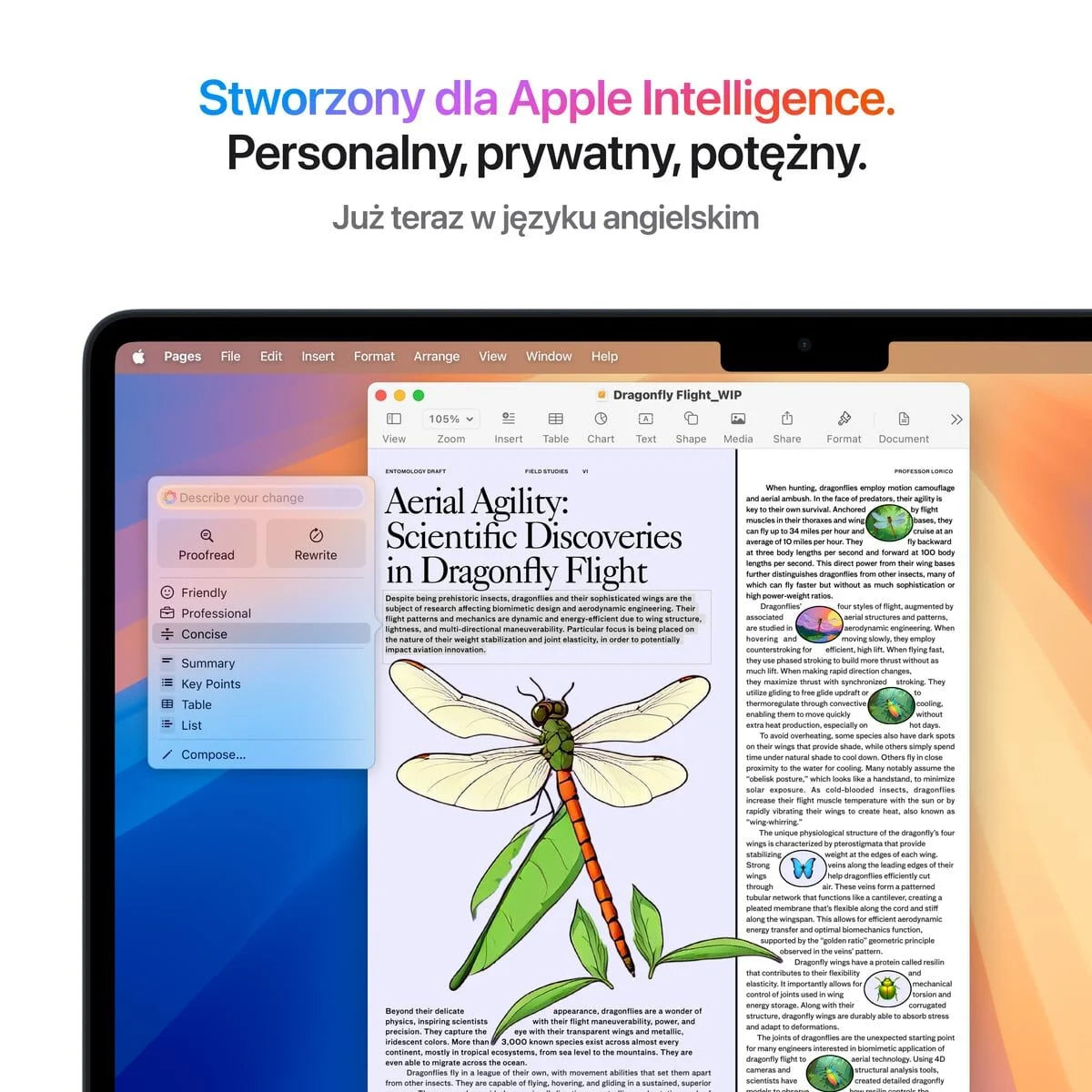 Apple MacBook Air 13-inch M4